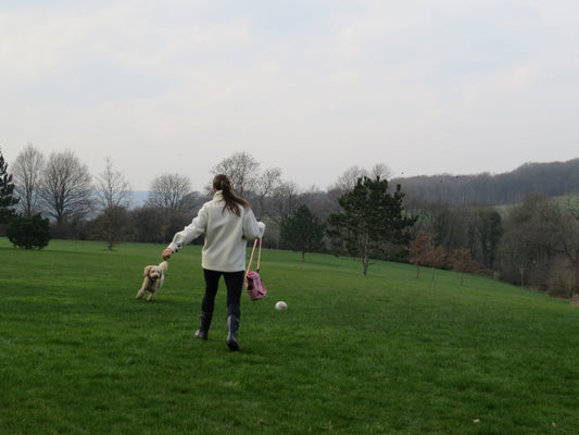 Why a Water Bottle Bag is a Must-Have for Your Daily Adventures