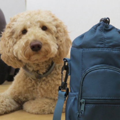 Outwandr Daily Carry Water Bottle Bag